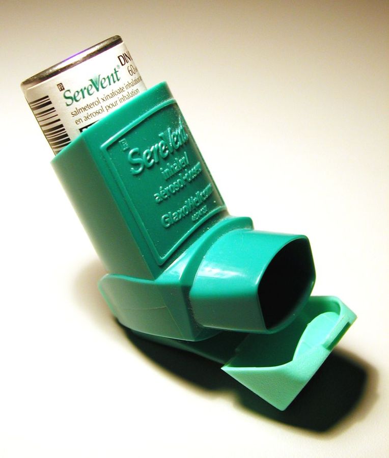 Example of an inhaler