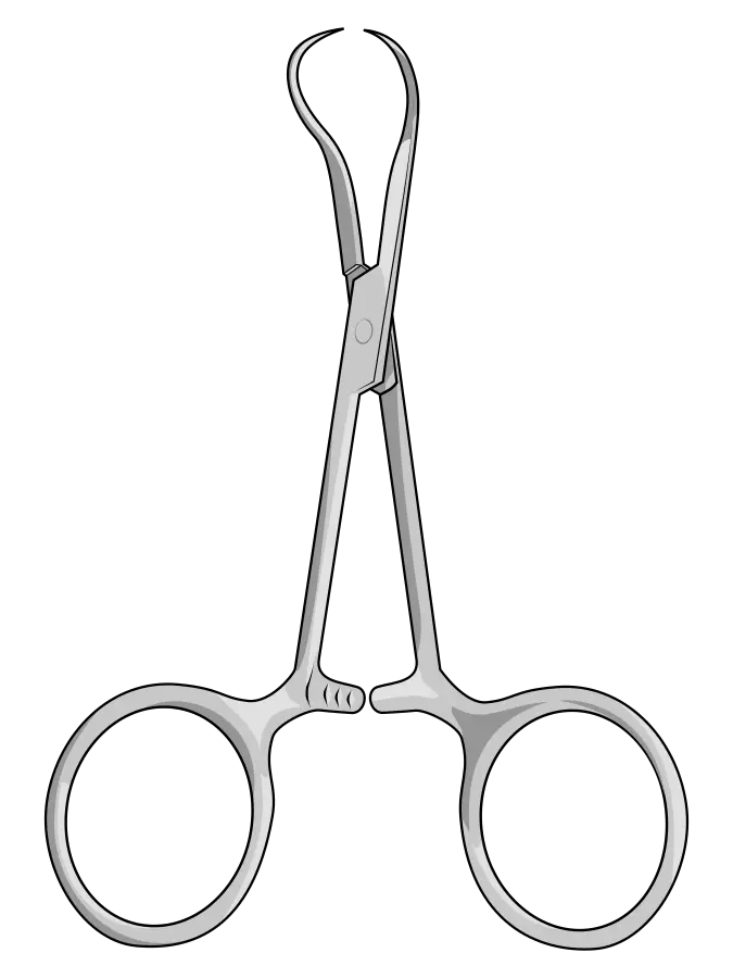 Backhaus towel clamp used in surgical draping