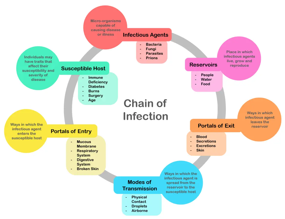 Six links in the chain of infection labeled