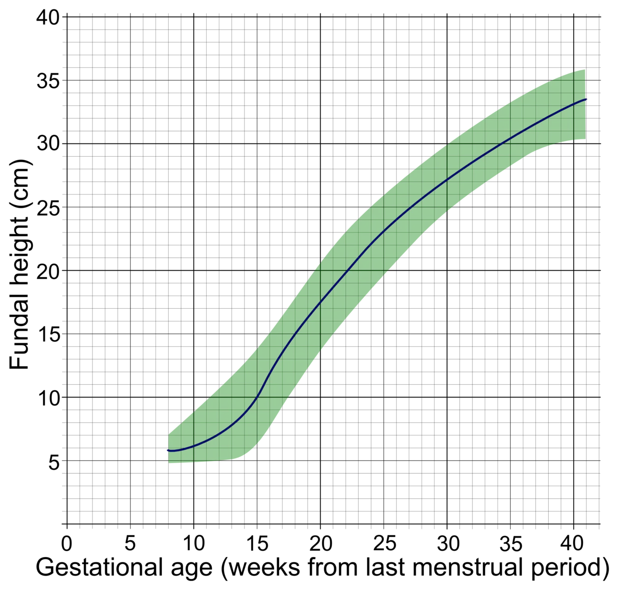 Relationship between gestational age and fundal height shown
