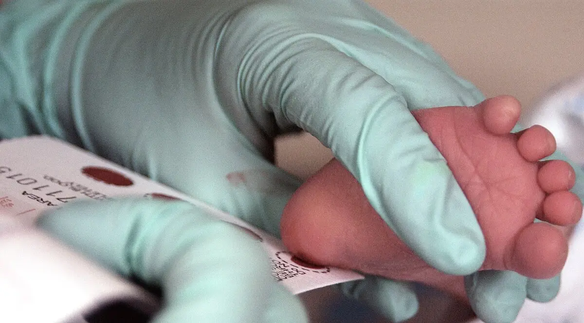 Guthrie card used for newborn screening blood tests