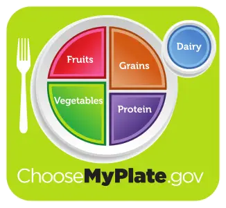 MyPlate nutrition guide showing food group recommendations