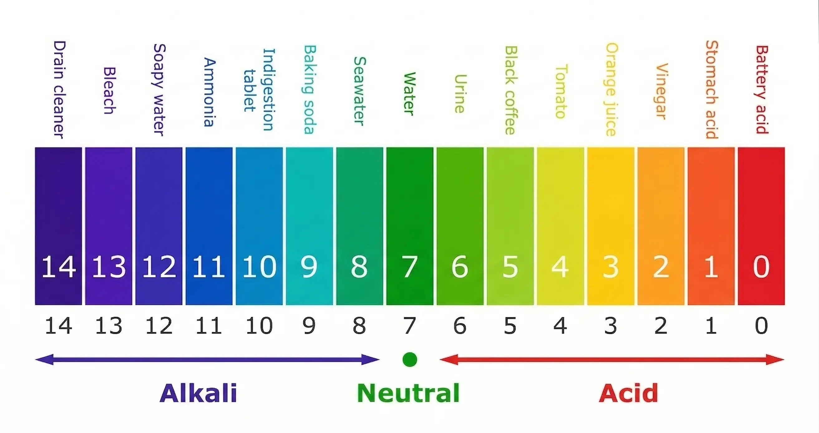 pH scale showing acidic, neutral, and basic values