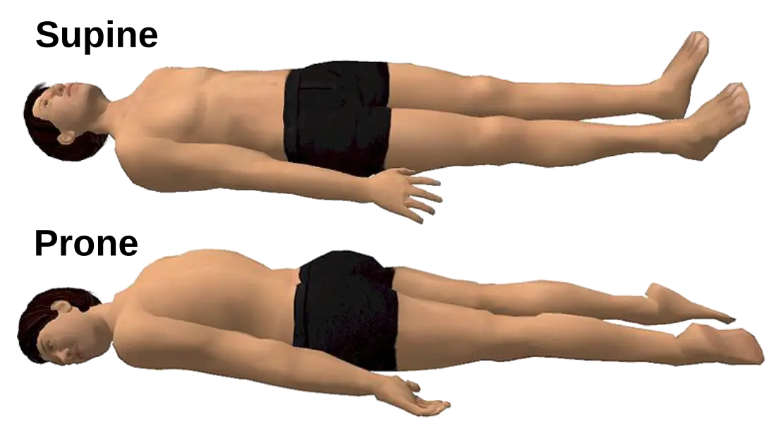 Patient positioned in supine and prone positions