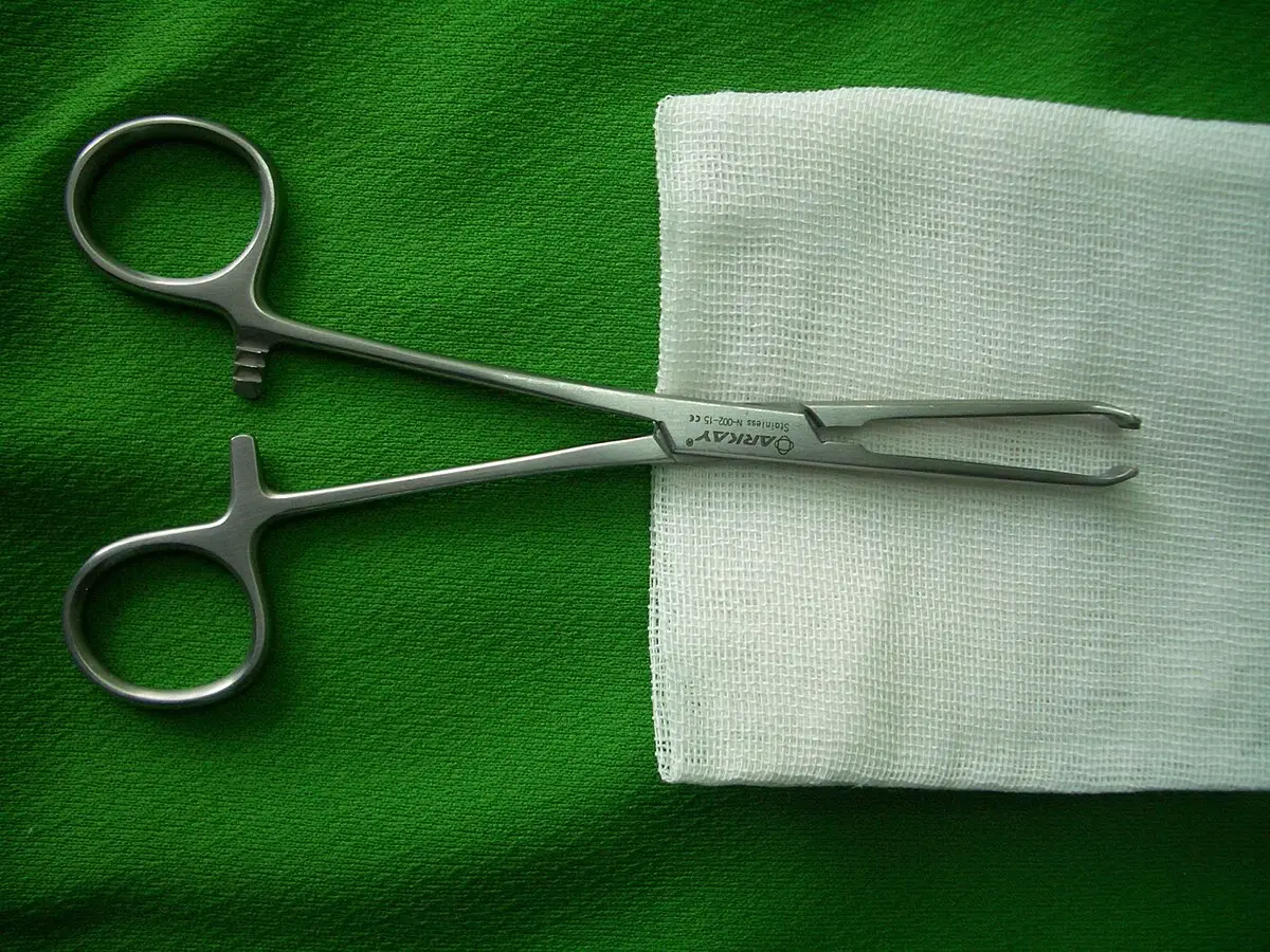 Toothed jaws of Allis tissue forceps shown in close view