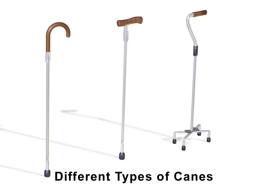 Different types of canes used for patient support
