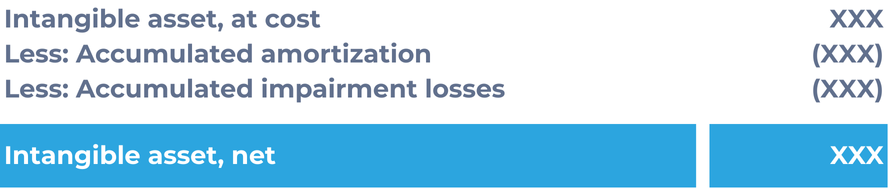 Intangible asset presentation in the balance sheet