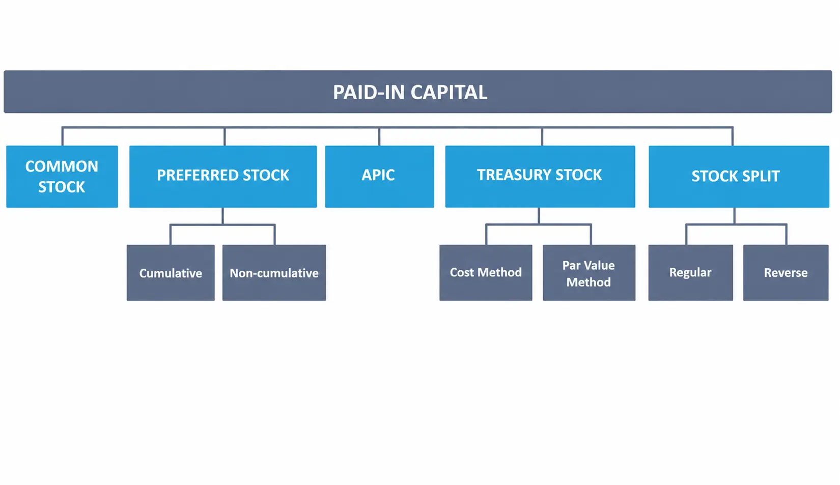 Showing paid-in capital broken into common stock, preferred stock, APIC, treasury stock, and stock split.