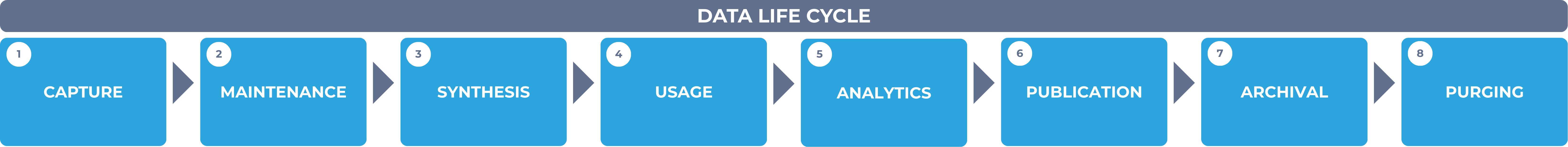 Stages of the data life cycle