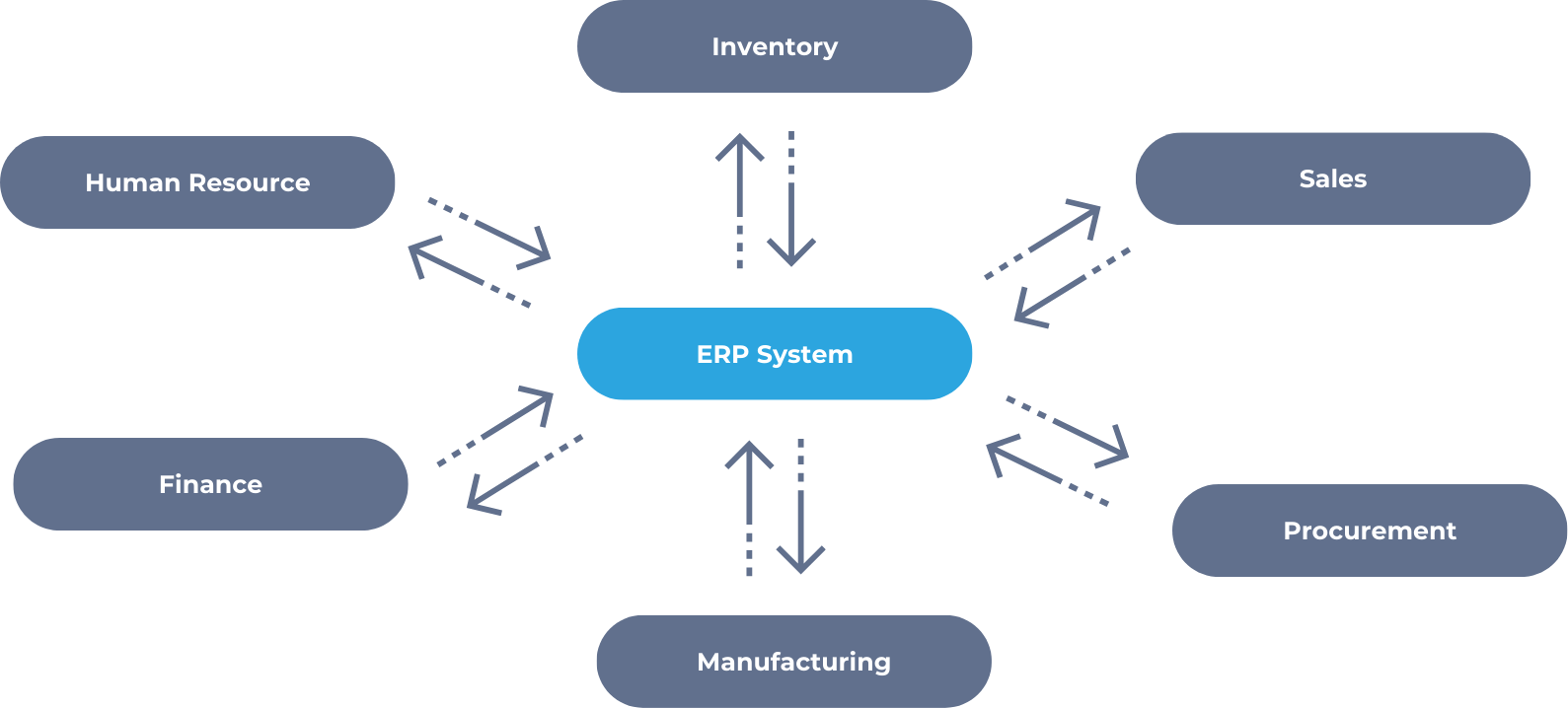 The ERP System