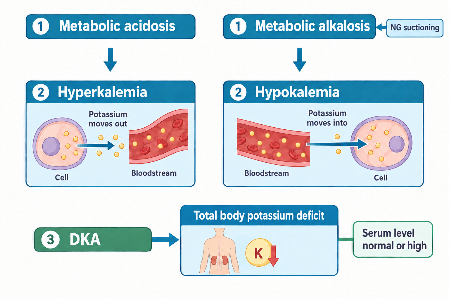 Two side-by-side flow panels: on the left, metabolic acidosis (step 1) leads to hyperkalemia (step 2), shown as potassium ions moving out of a cell into the bloodstream; on the right, metabolic alkalosis (step 1), triggered by NG suctioning, leads to hypokalemia (step 2), shown as potassium ions moving from the bloodstream into a cell. Below, a third panel shows DKA (step 3) leading to a total body potassium deficit, illustrated with kidneys and a downward arrow next to a K icon, with a side note that serum potassium level may be normal or high despite the deficit.