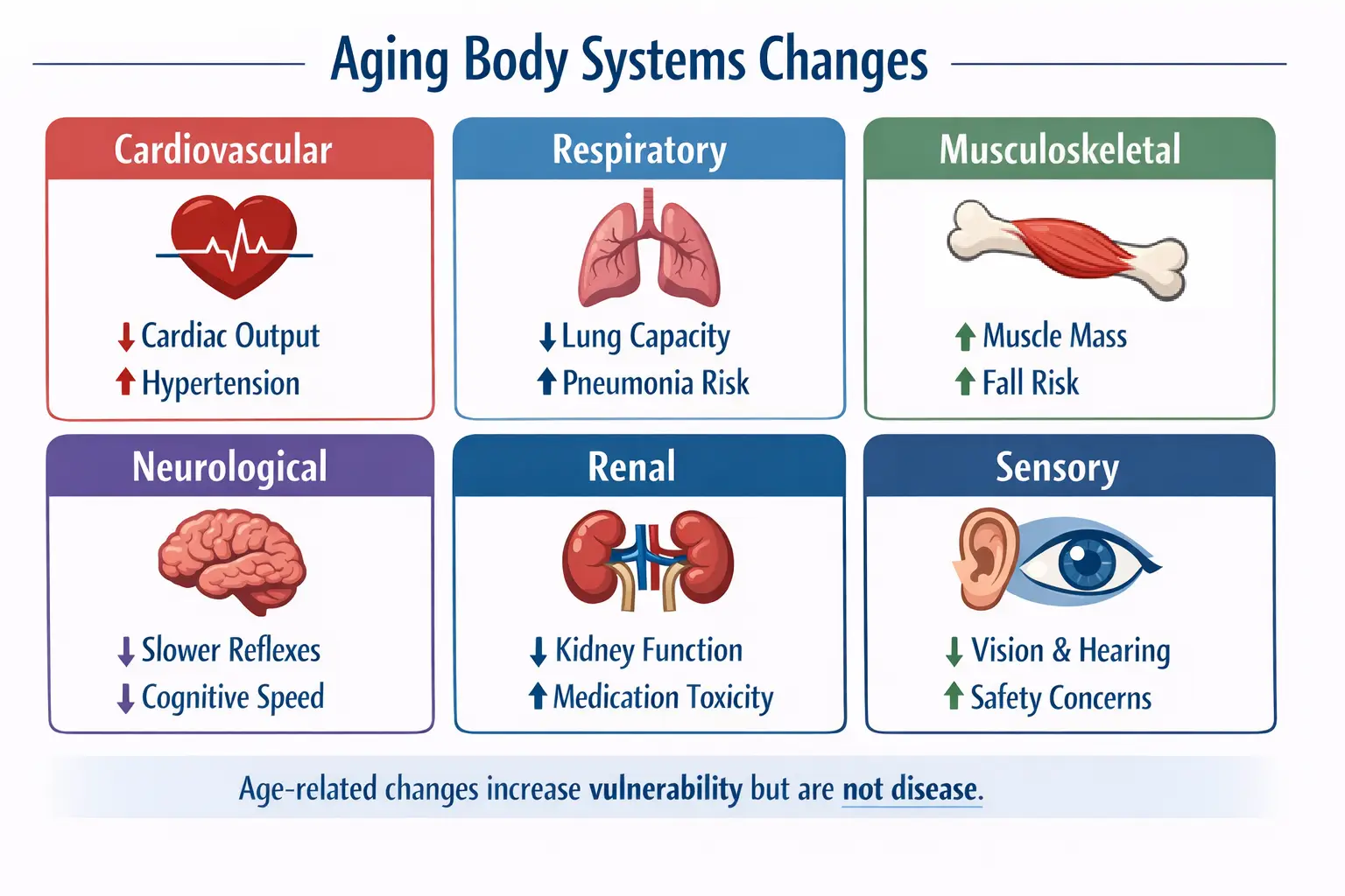 Organ systems affected by aging