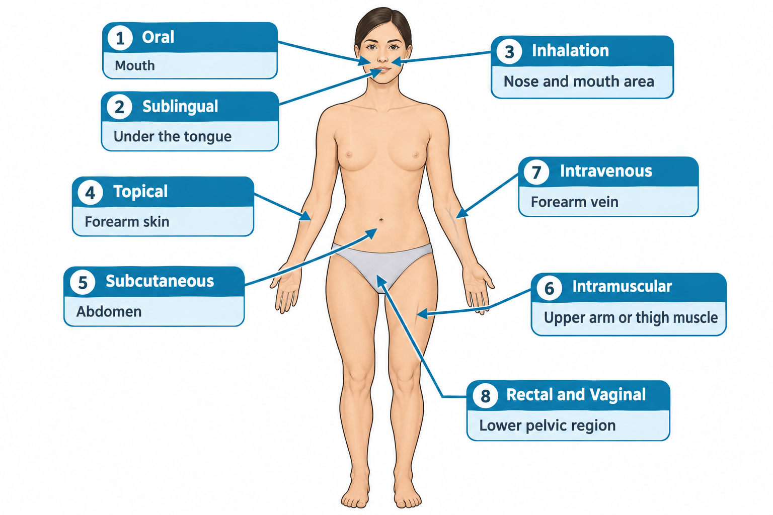 A frontal outline of a woman's body with numbered arrows pointing to sites for each medication route: 1 Oral to the mouth, 2 Sublingual under the tongue, 3 Inhalation to the nose and mouth area, 4 Topical to the forearm skin, 5 Subcutaneous to the abdomen, 6 Intramuscular to the upper arm or thigh muscle, 7 Intravenous to a forearm vein, and 8 Rectal and Vaginal to the lower pelvic region.