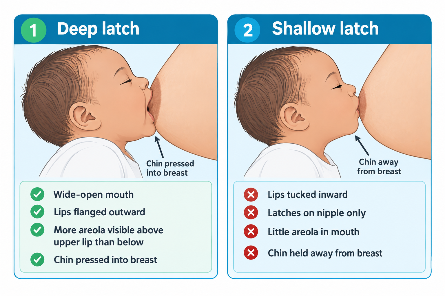 Two side-by-side illustrations of an infant breastfeeding in profile. Panel 1, 'Deep latch,' shows the baby's mouth wide open with lips flanged outward and the chin pressed into the breast, with more areola visible above the upper lip than below; checklist confirms wide-open mouth, flanged lips, more areola above lip, and chin pressed into breast. Panel 2, 'Shallow latch,' shows the baby's lips pursed and tucked inward around just the nipple, with the chin held away from the breast; checklist flags tucked-in lips, latching on nipple only, little areola in mouth, and chin away from breast.