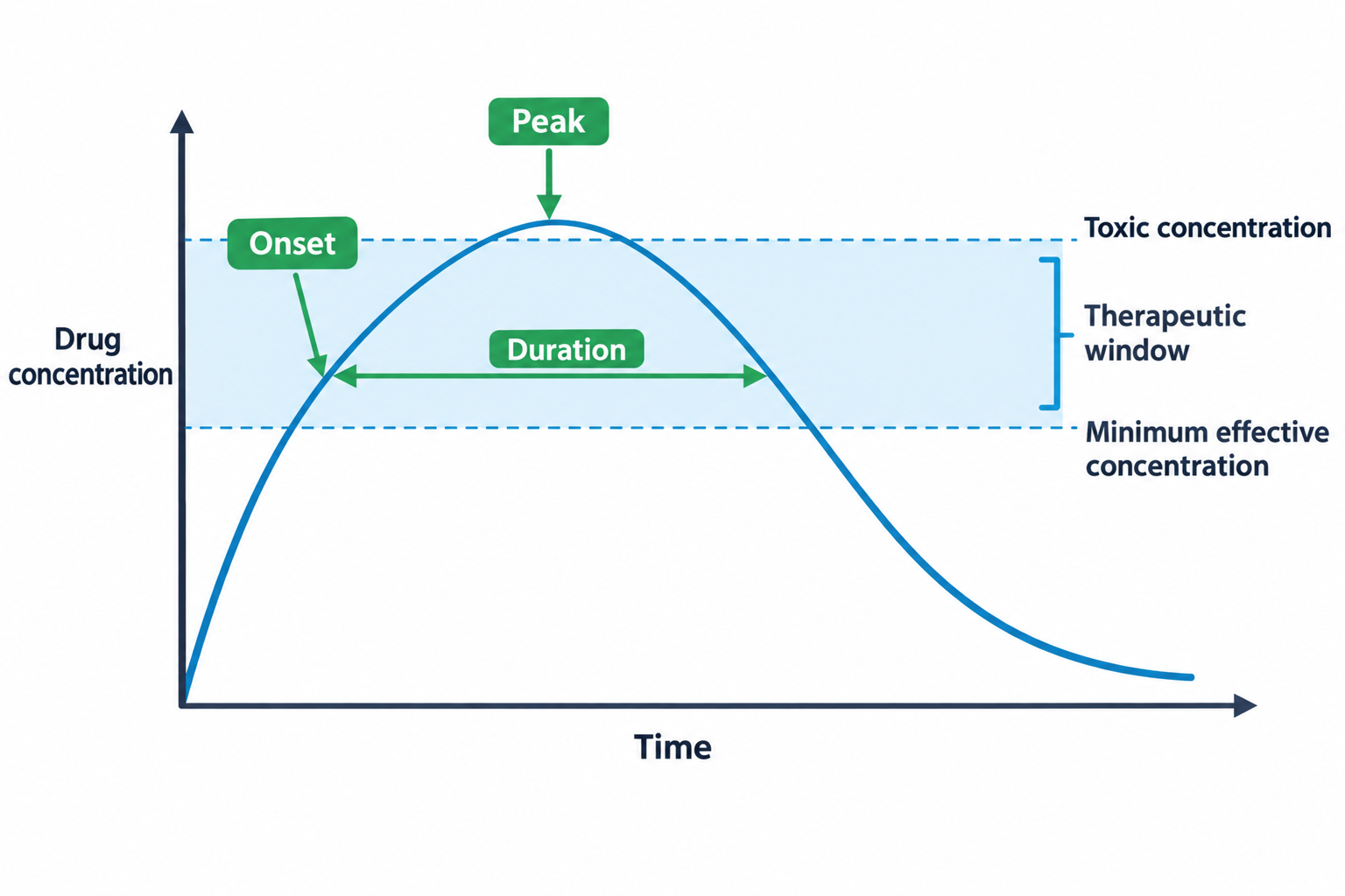 A pharmacokinetic curve shows drug concentration rising from zero, crossing into a shaded therapeutic band (labeled onset), reaching a peak, then declining and exiting the band. The band is bounded above by a toxic concentration line and below by a minimum effective concentration line, with a bracket marking this range as the therapeutic window, and a double-headed arrow spanning the time the curve stays within the band labeled duration.