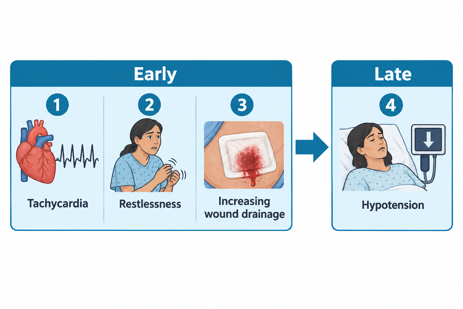 A four-step progression diagram divided into Early and Late zones connected by an arrow. Early zone shows a heart with an ECG trace labeled Tachycardia, a worried woman rubbing her hands labeled Restlessness, and a bloody wound dressing labeled Increasing wound drainage. Late zone shows a woman lying in a hospital bed looking pale and anxious next to a monitor with a downward arrow, labeled Hypotension.