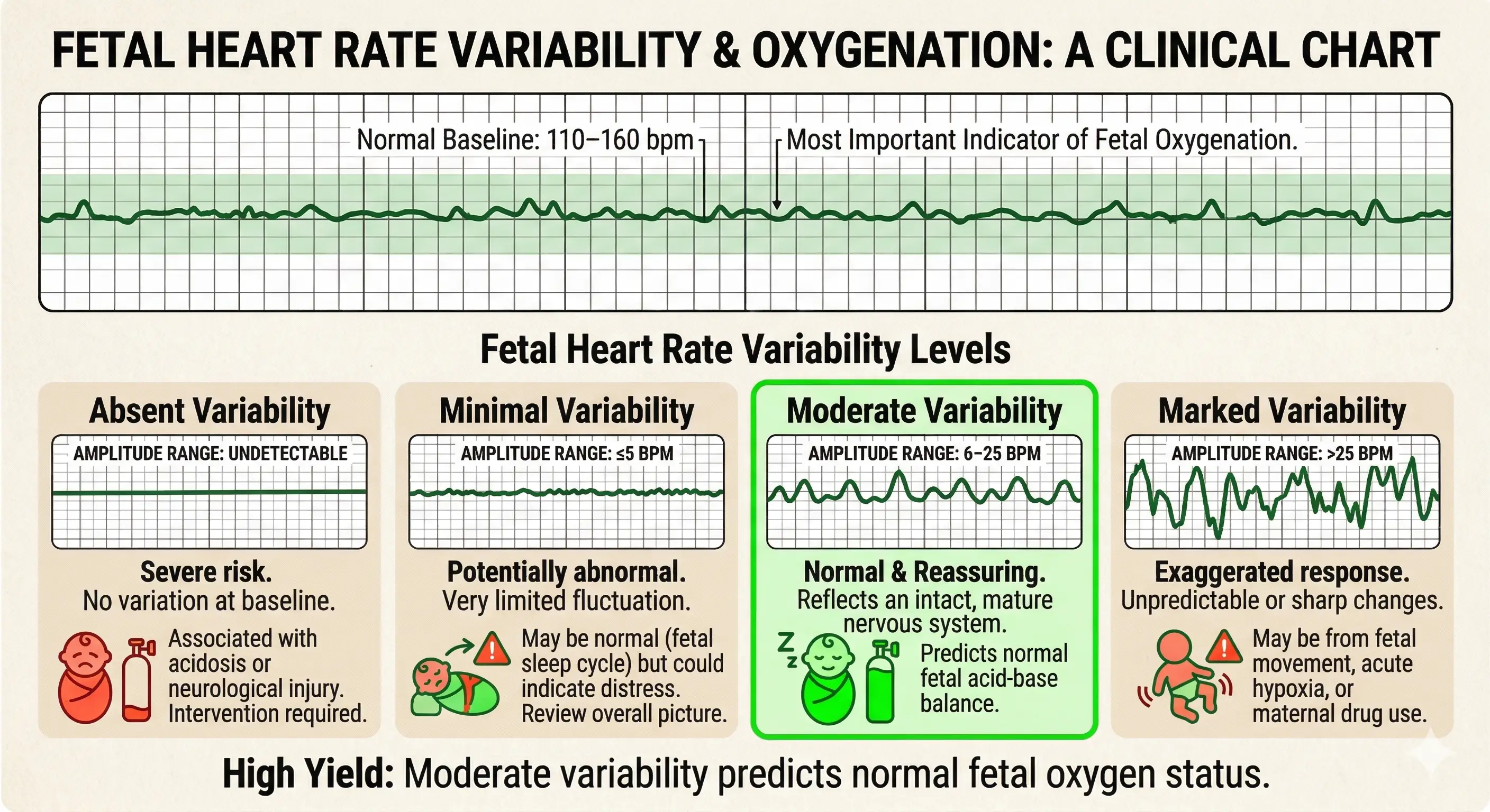 Different variations of fetal heart rates