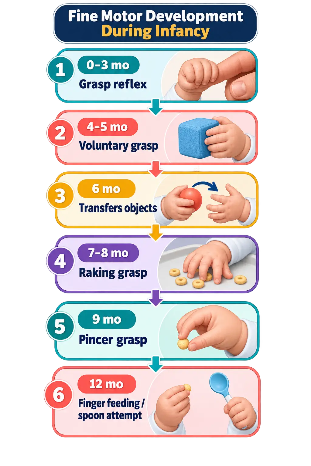 Six-step timeline of infant fine motor development: 1) 0-3 months, grasp reflex around a finger; 2) 4-5 months, voluntary grasp of a block; 3) 6 months, transfers objects between hands; 4) 7-8 months, raking grasp of small food pieces; 5) 9 months, pincer grasp picking up a small piece; 6) 12 months, finger feeding and attempting to use a spoon.