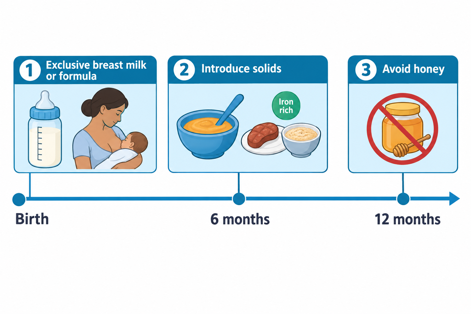 A timeline shows three infant nutrition milestones: at birth, a caregiver breastfeeding a baby next to a bottle labeled for breast milk or formula; at 6 months, a bowl of pureed food, a piece of meat, and a bowl of cereal marked 'Iron rich' representing introduction of solids; at 12 months, a honey jar with a red prohibition symbol indicating honey should be avoided before this age.