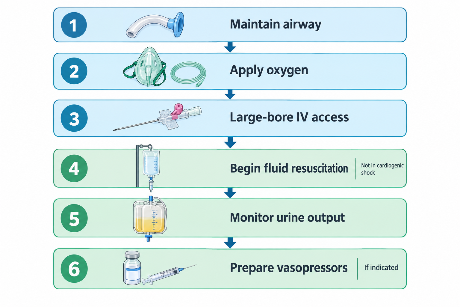 A six-step vertical flowchart illustrating nursing priorities in shock: 1) Maintain airway (oropharyngeal airway device), 2) Apply oxygen (mask and tubing), 3) Large-bore IV access (IV catheter), 4) Begin fluid resuscitation, noted as not indicated in cardiogenic shock (IV fluid bag), 5) Monitor urine output (urine collection bag), 6) Prepare vasopressors if indicated (vial and syringe).
