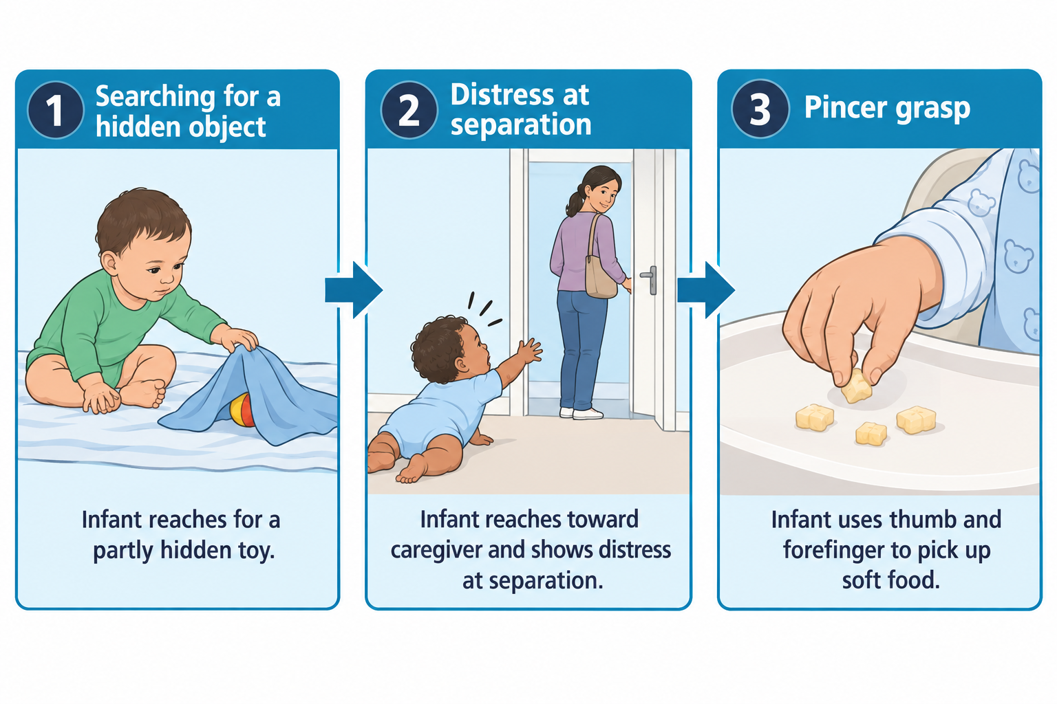 Three-panel illustration: Panel 1 shows an infant sitting on a bed reaching for a toy partly covered by a blanket, illustrating object permanence. Panel 2 shows an infant on the floor reaching toward a caregiver walking out a door, arms raised in distress, illustrating separation anxiety. Panel 3 shows a close-up of an infant's hand using thumb and forefinger to pick up a small piece of soft food from a highchair tray, illustrating the pincer grasp.