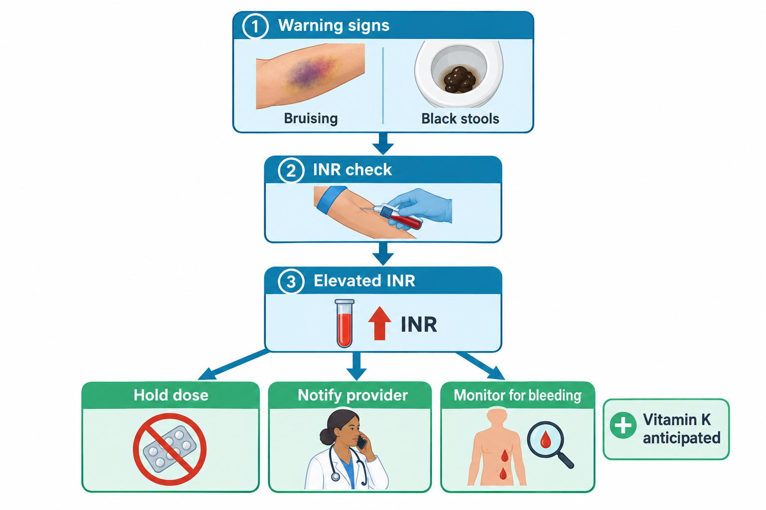 A four-step flowchart: Warning signs (bruising on the arm and black, tarry stools) lead to an INR check (blood draw), which shows an elevated INR (blood tube with an upward arrow). This branches into three actions—hold dose (a blister pack of pills with a red 'no' symbol), notify provider (a clinician on the phone), and monitor for bleeding (a torso with blood droplets and a magnifying glass)—alongside a note to anticipate vitamin K administration.
