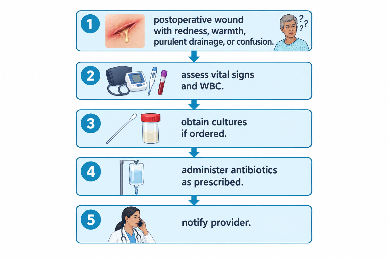 A five-step flowchart: 1) An image of a postoperative wound with redness and purulent drainage beside a confused older adult with question marks, labeled 'postoperative wound with redness, warmth, purulent drainage, or confusion.' 2) A blood pressure cuff, thermometer, and blood sample tube labeled 'assess vital signs and WBC.' 3) A swab and specimen cup labeled 'obtain cultures if ordered.' 4) An IV pole with fluid bag labeled 'administer antibiotics as prescribed.' 5) A nurse on the phone labeled 'notify provider.'