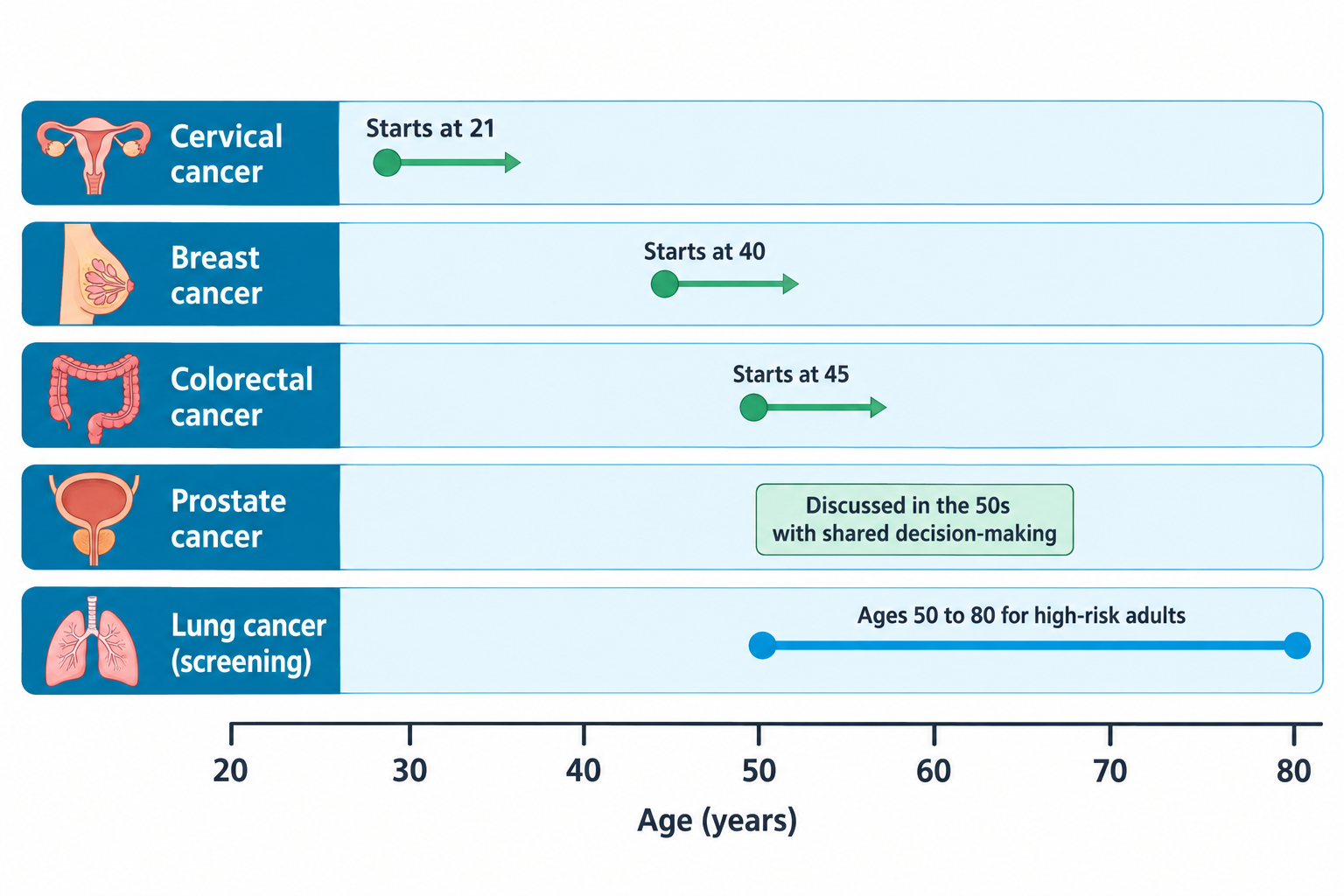 A horizontal timeline from age 20 to 80 shows five cancer screening rows: cervical cancer starting at age 21, breast cancer starting at age 40, colorectal cancer starting at age 45, prostate cancer discussed in the 50s with shared decision-making, and lung cancer screening spanning ages 50 to 80 for high-risk adults, each paired with a relevant anatomical icon.
