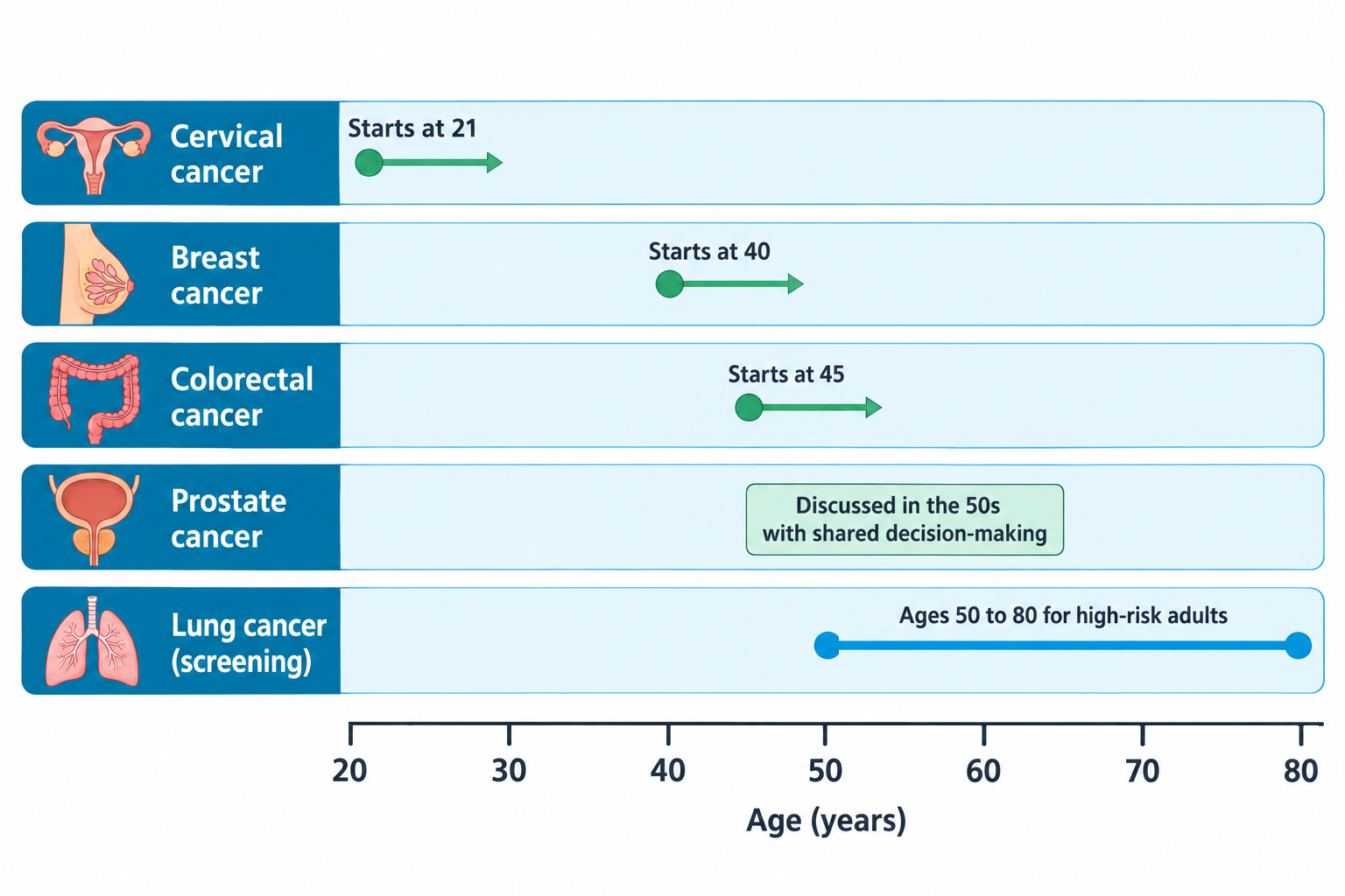 A horizontal timeline from age 20 to 80 showing five cancer screening rows, each paired with an anatomical icon: cervical cancer (uterus and ovaries icon) starting at age 21 with an arrow extending rightward; breast cancer (breast icon) starting at age 40 with an arrow extending rightward; colorectal cancer (colon icon) starting at age 45 with an arrow extending rightward; prostate cancer (prostate gland icon) shown as discussed in the 50s with shared decision-making; and lung cancer screening (lungs icon) shown as a bar spanning ages 50 to 80 for high-risk adults. An age axis at the bottom runs from 20 to 80 in ten-year increments.