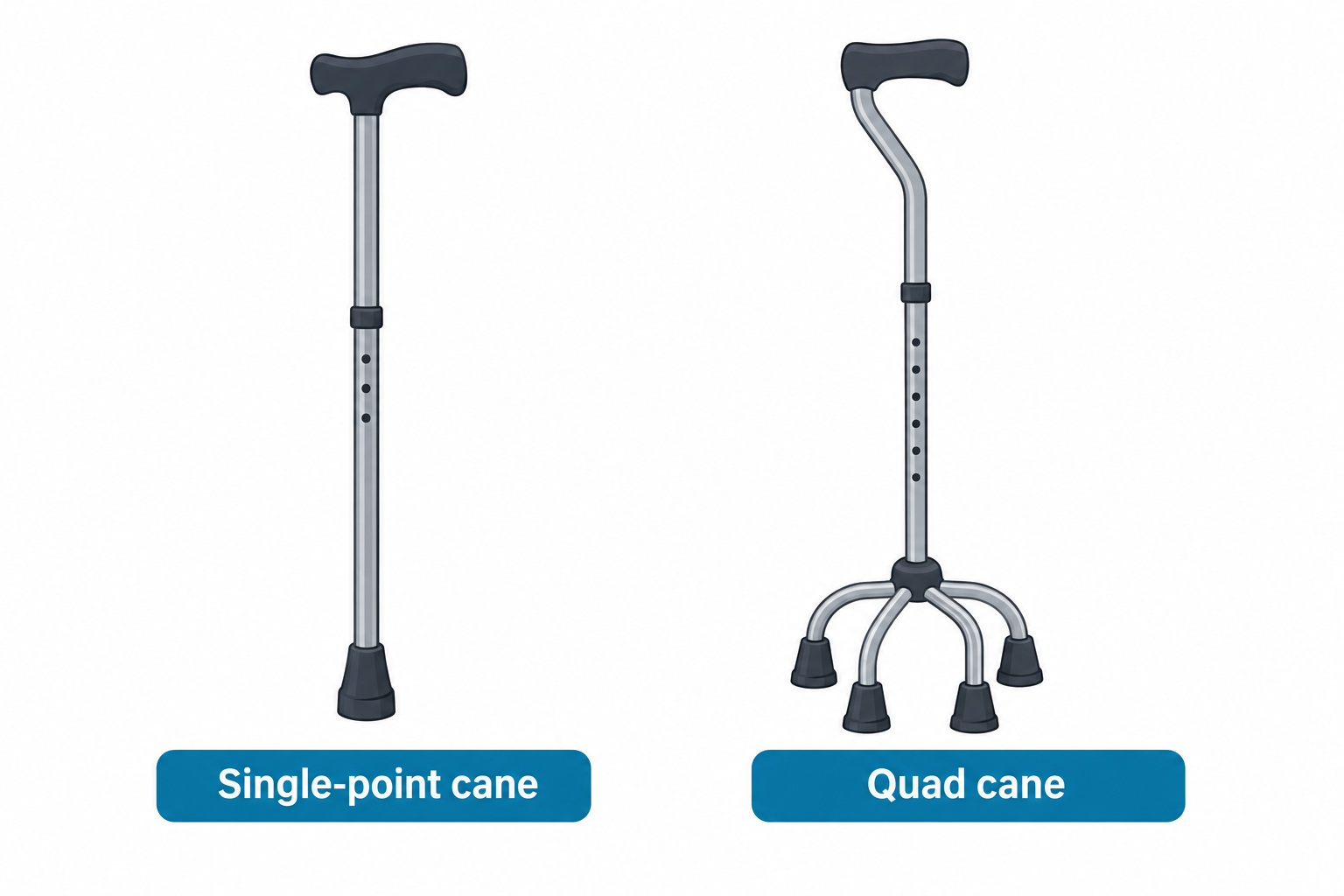 Two adjustable canes are shown side by side: a single-point cane with a single rubber tip at the base, and a quad cane with four splayed legs each ending in a rubber tip, forming a broader base of support.