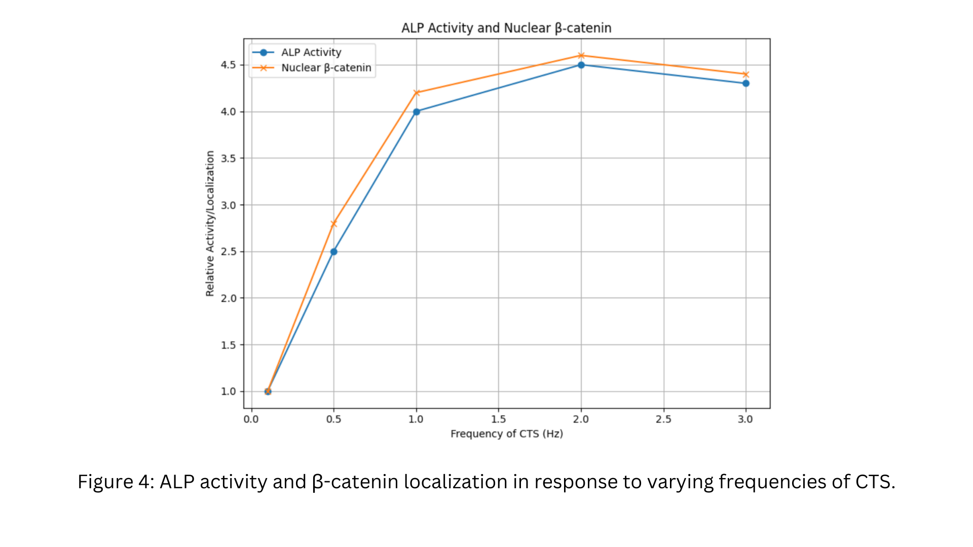 ALP activity and β-catenin localization in response to CTS frequency