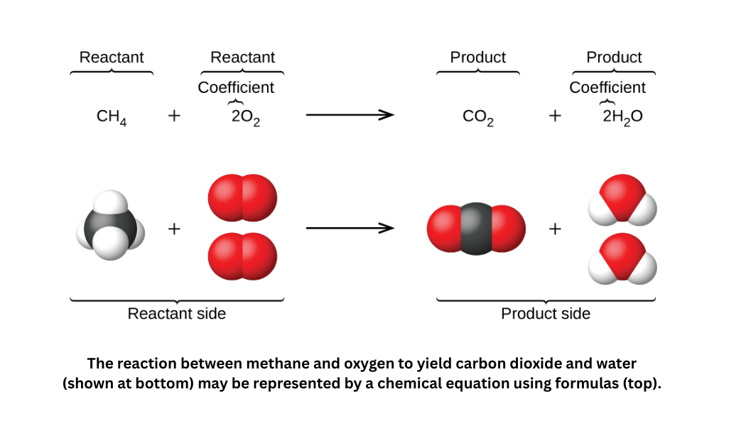 Balanced chemical equation for the combustion of methane