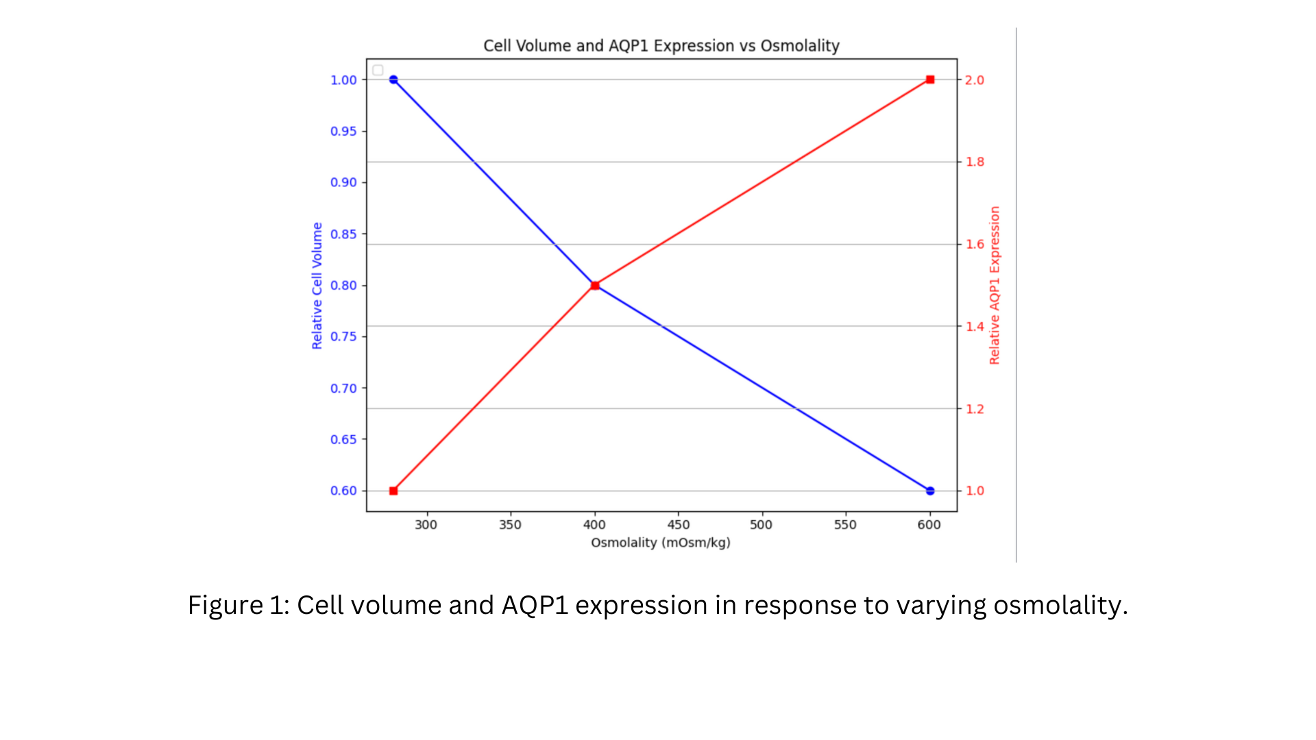 Cell column and AQP1 expression in response to varying osmolality