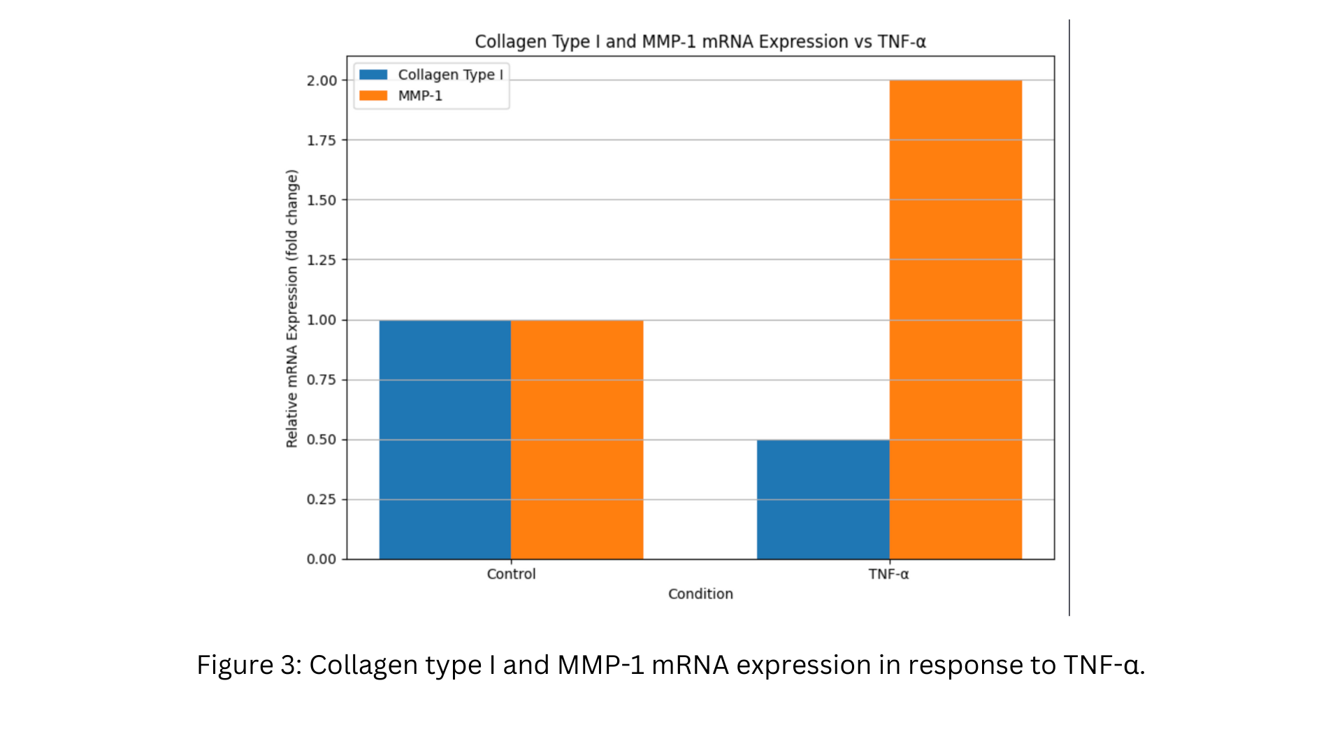 Collagen type I and MMP-1 mRNA expression in response to TNF-α