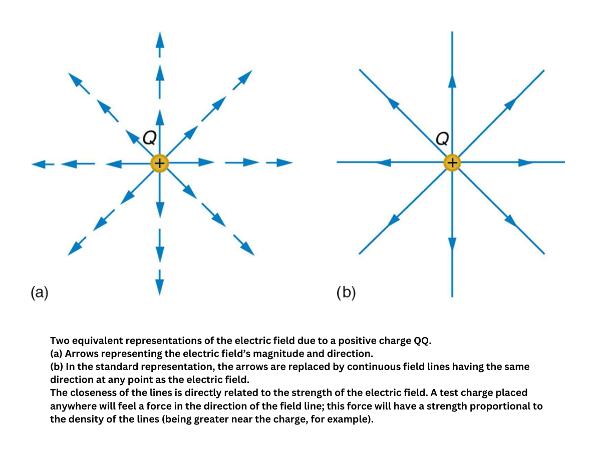 Electric field lines around a positive charge