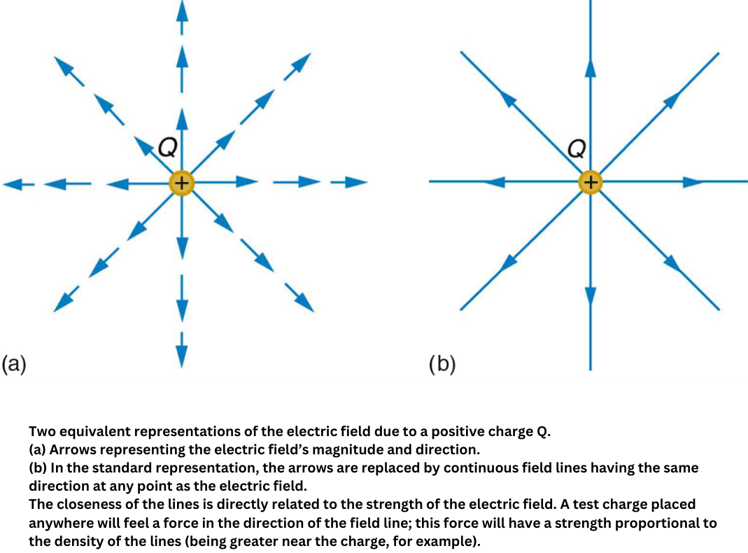 Electric field lines around a positive charge