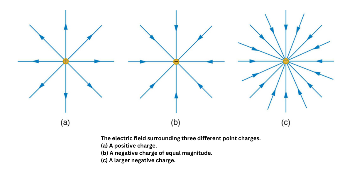 Electric field lines around point charges
