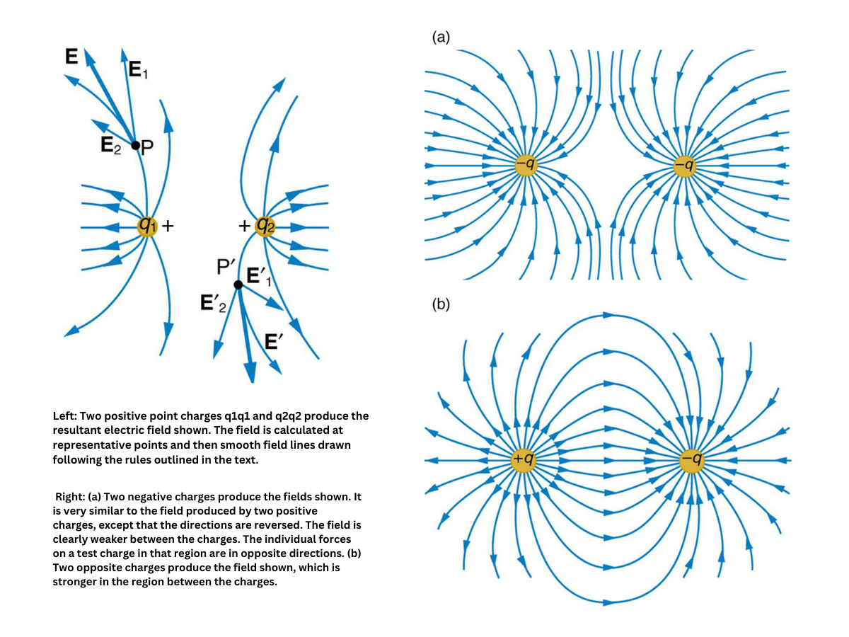Electric fields of like and unlike charges