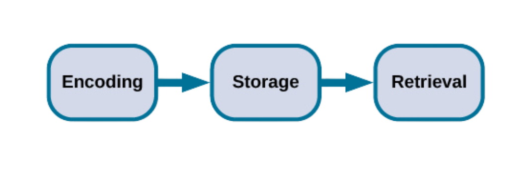 Encoding, storage, and retrieval