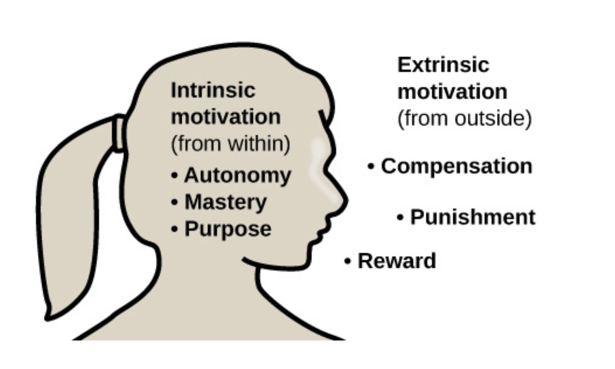 Pavlov: Before, during and after conditioning