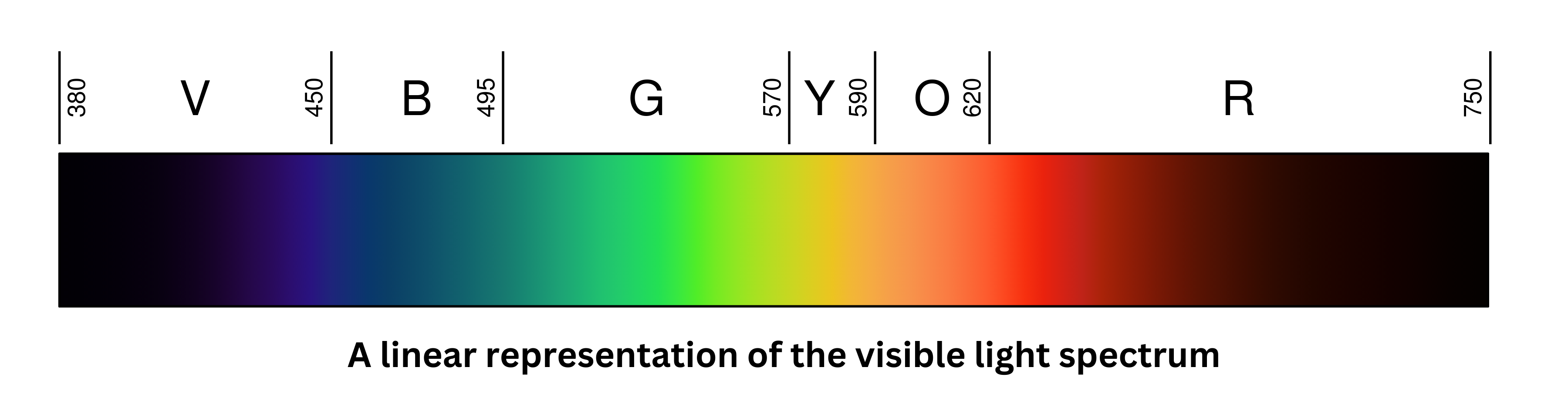 Linear representation of the visible light spectrum