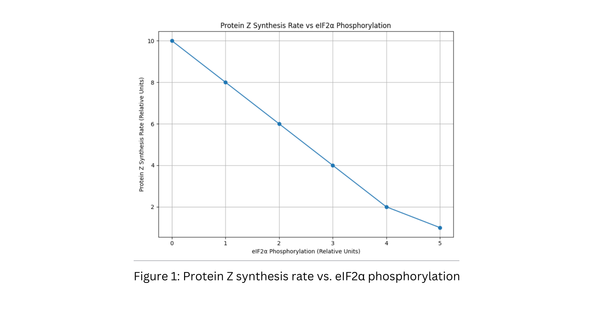 Protein Z synthesis versus eIF2α phosphorylation