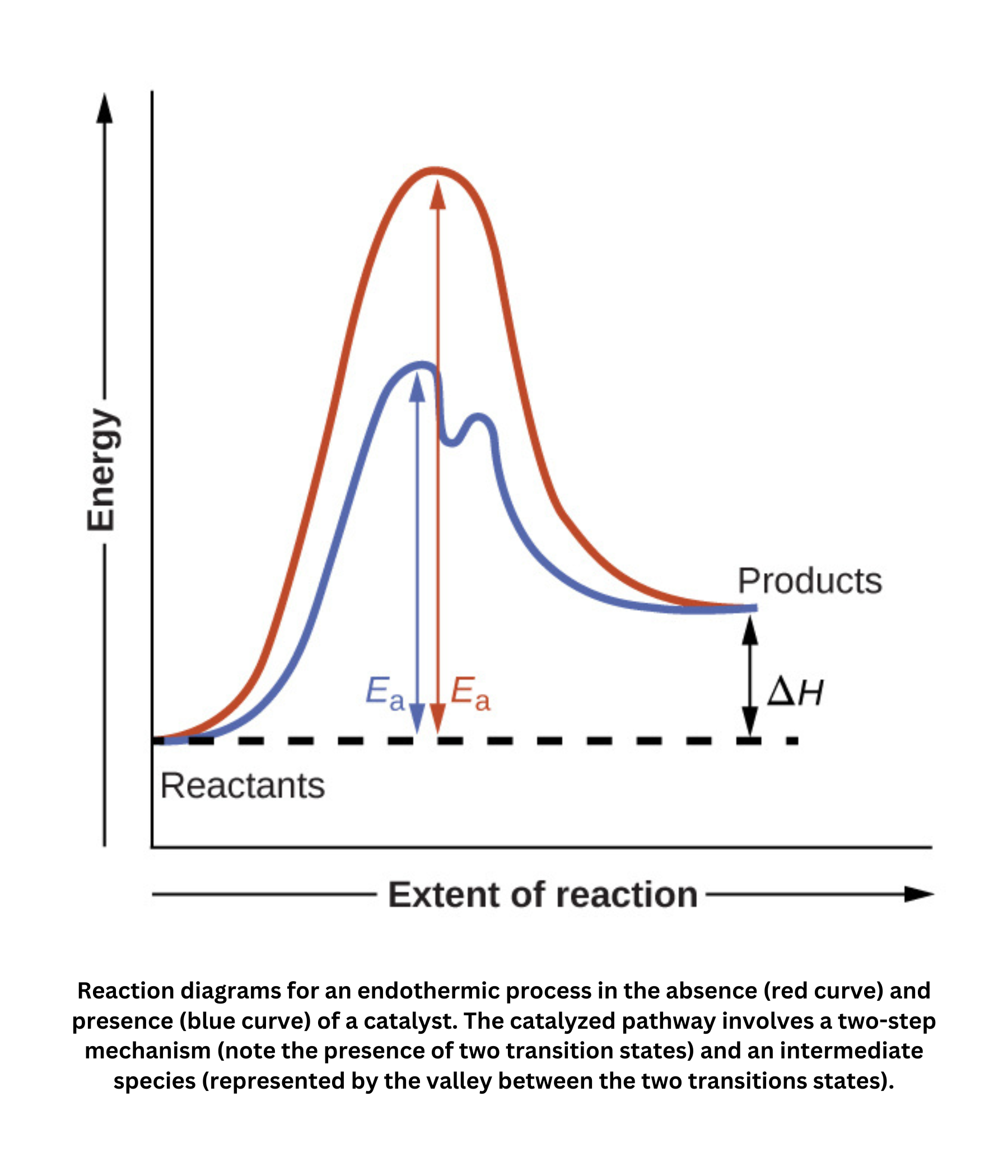 Reaction diagram endothermic process