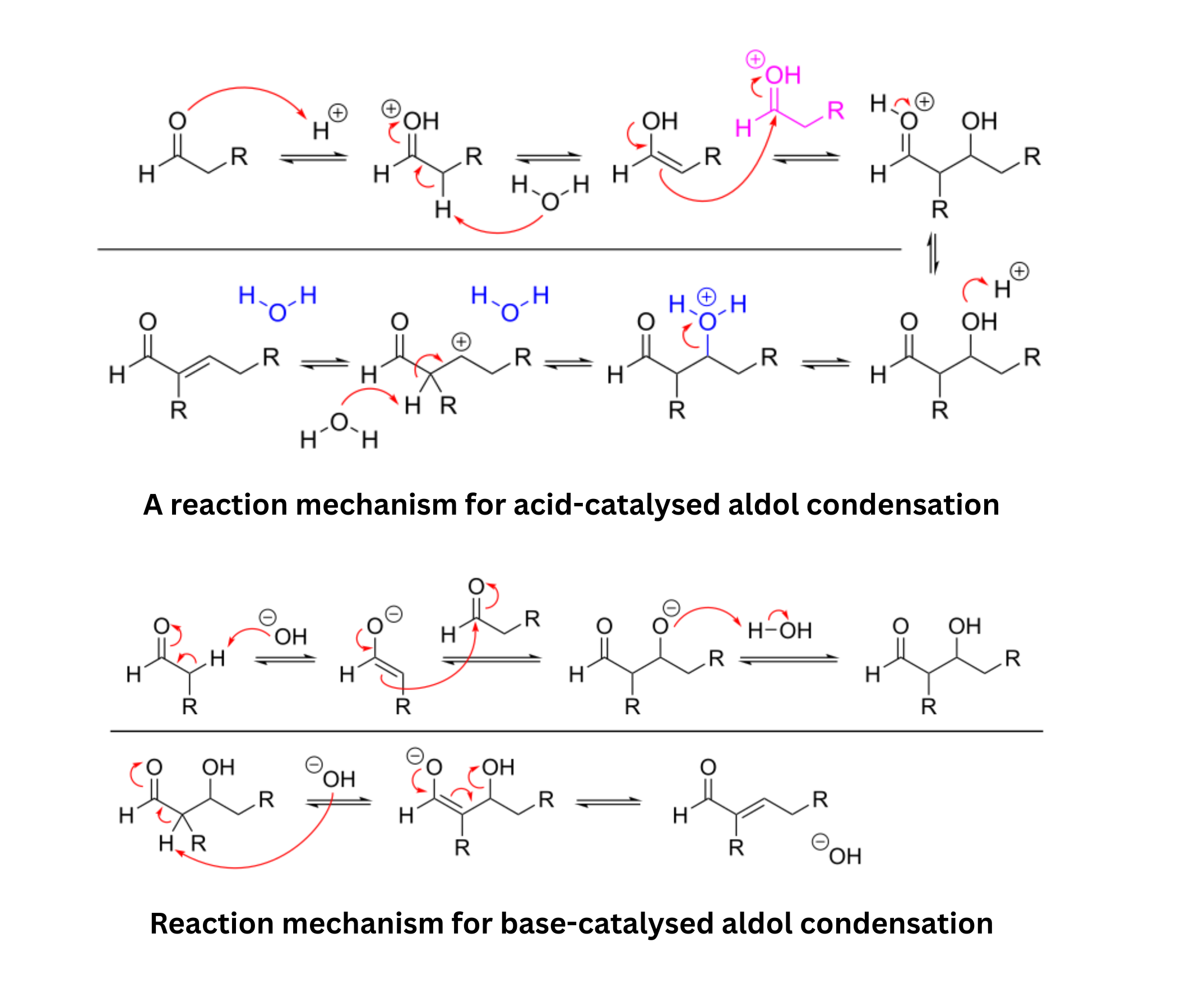 Reaction mechanisms for base- and acid-catalysed aldol condensation