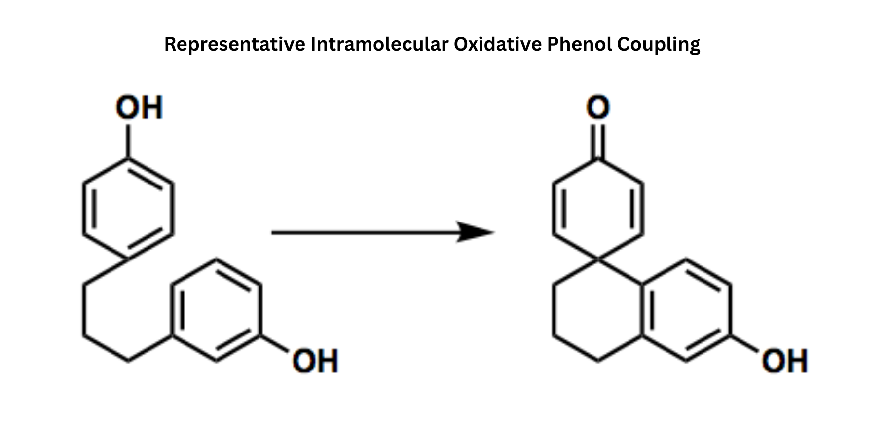 Representative intramolecular oxidative phenol coupling