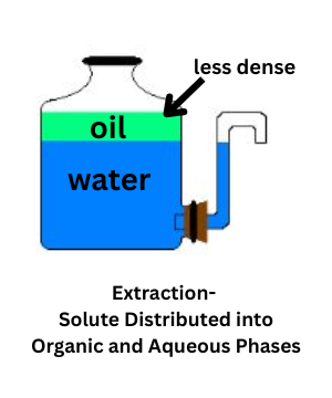 Solute distribution in immiscible aqueous and organic layers during extraction