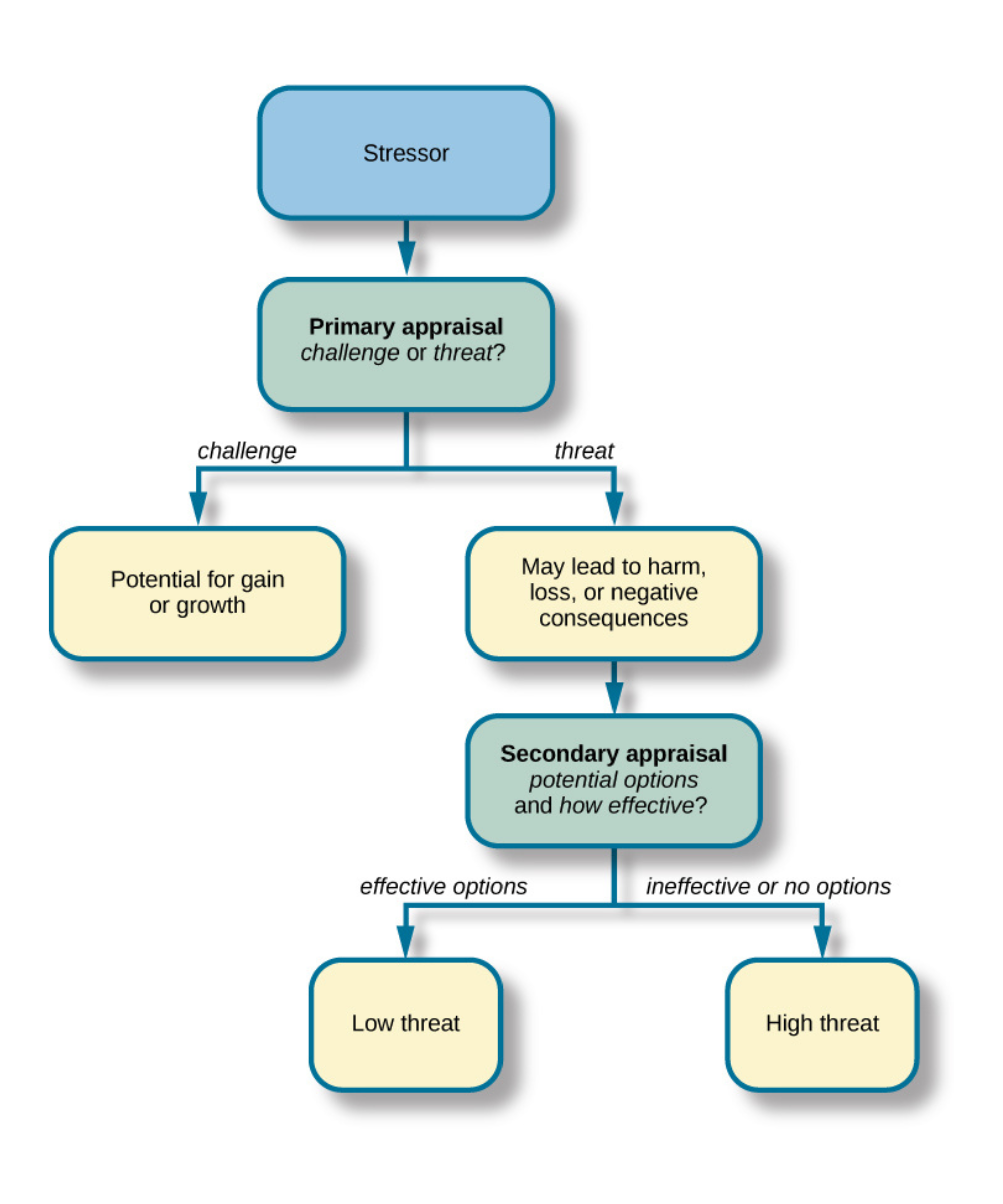 Stress appraisal model: primary and secondary cognitive evaluations