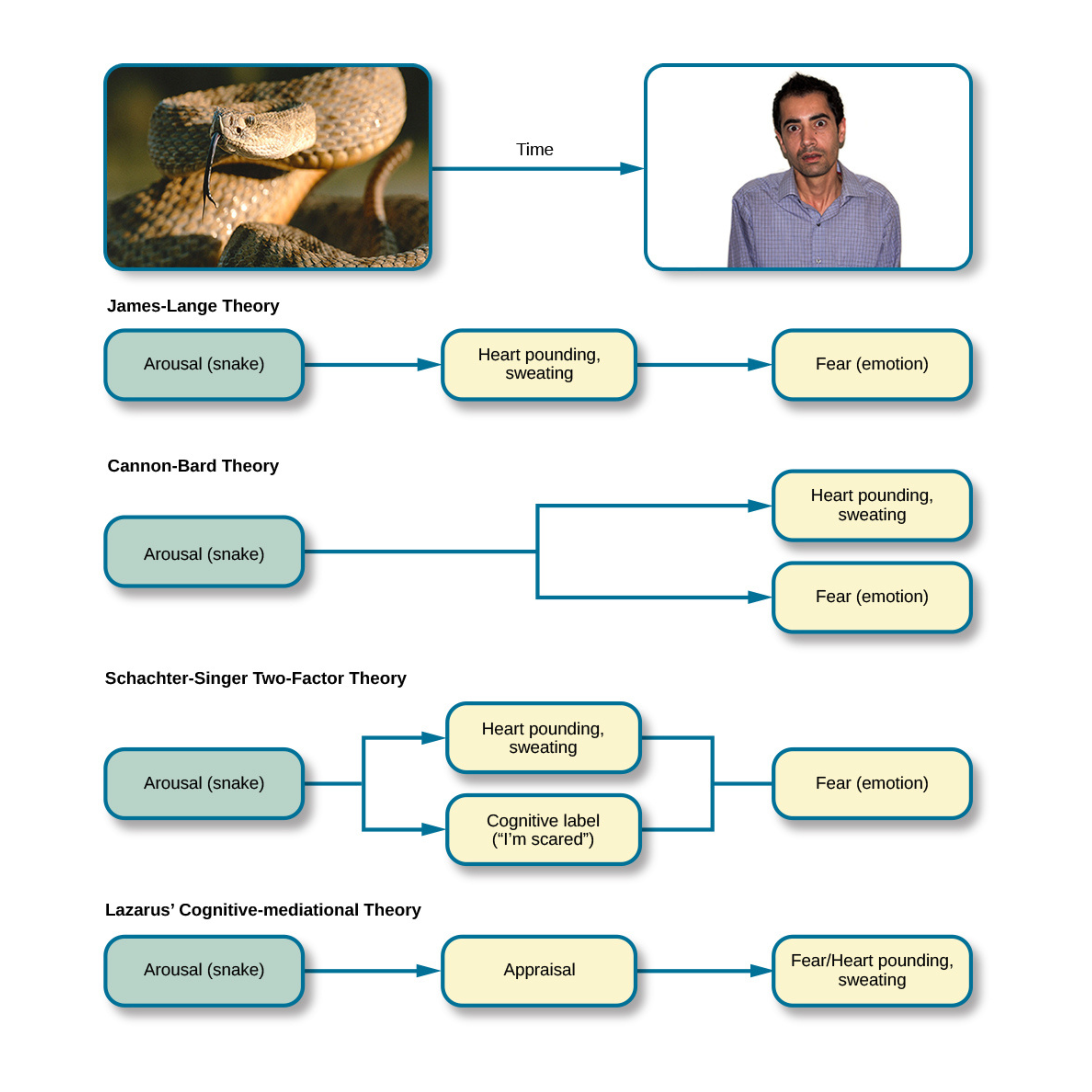 Theories of emotion diagram comparing major psychological models