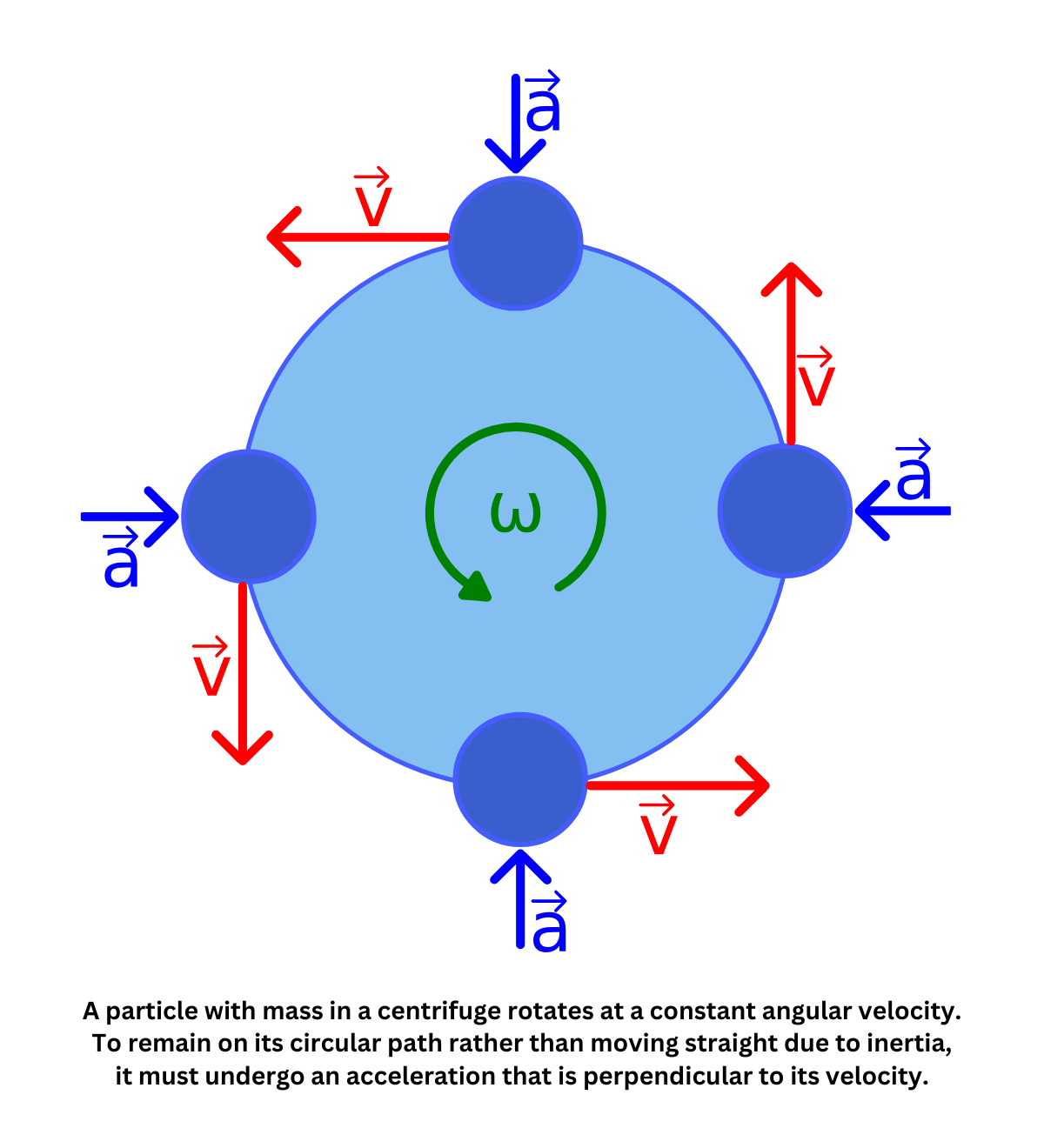 Uniform circular motion showing velocity, acceleration, and angular velocity