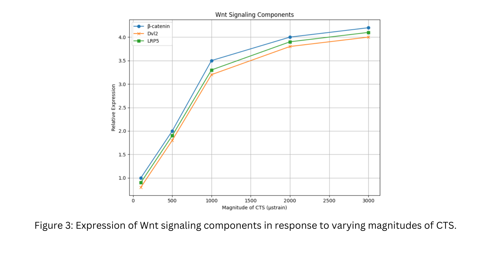 Wnt signaling expression in response to CTS magnitude